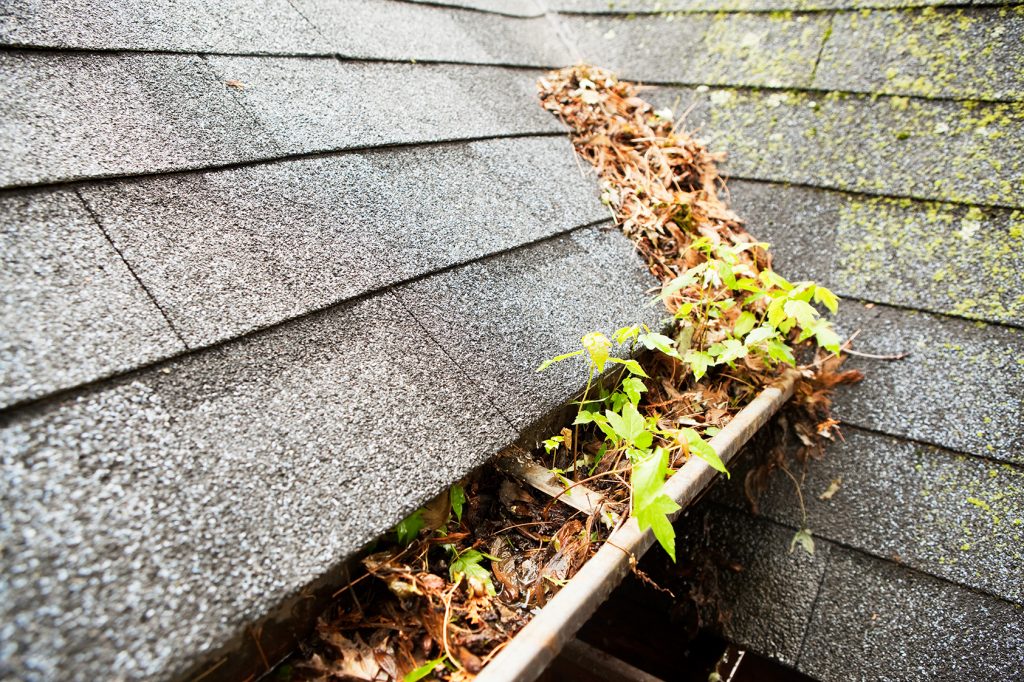 Gutter cleaning & survey in Guernsey