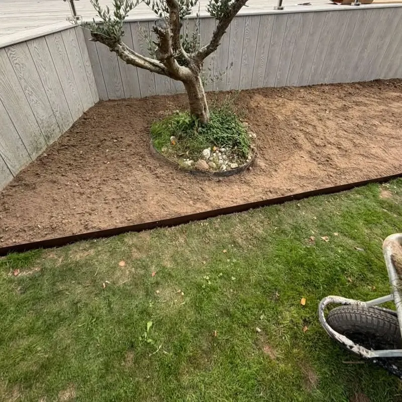 The new bed dug out around the tree